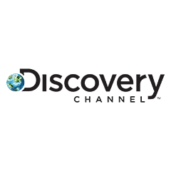 Discovery