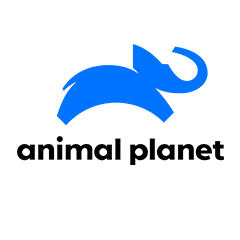 Animal Planet